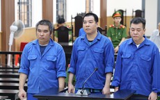 3 bị cáo cướp gần 55 tấn cá tra bị tuyên án 34 năm tù