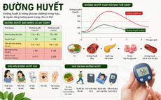 Uống nước lá sung có kiểm soát được đường huyết?