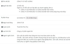 Công ty Cổ phần Việt Vương vi phạm chứng khoán