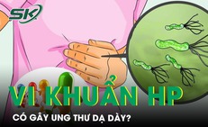 Thực hư vi khuẩn HP g&#226;y ung thư dạ d&#224;y?