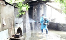 5 c&#225;ch chủ động ph&#242;ng bệnh do muỗi sau lũ