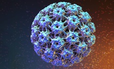 Nam giới c&#243; thể bị nhiễm virus HPV kh&#244;ng?