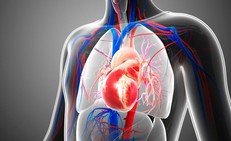 Van tim tổn thương nặng do biến chứng thấp tim