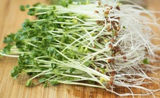 B&#237; quyết ph&#242;ng ung thư từ gian bếp nh&#224; bạn