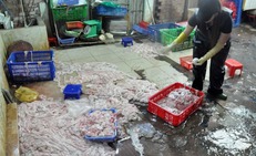 L&#242;ng se điếu: Đặc sản tiền triệu hay nguy cơ từ h&#243;a chất?