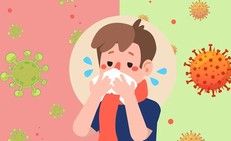 Nhận diện các loại cúm mùa thường gặp ở người