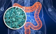 Tuổi 50 muốn khỏe, hãy duy trì 4 thói quen tốt cho hệ vi sinh đường ruột