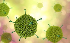 Biểu hiện khi trẻ mắc Adenovirus: Cha mẹ cần nhận biết sớm để phòng biến chứng