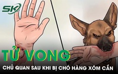 Tử vong do chủ quan sau khi bị ch&#243; h&#224;ng x&#243;m cắn