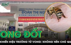 Hiệu trưởng trường cấp 2 tử vong do ong đốt: Tuyệt đối kh&#244;ng chủ quan!