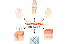 D&#249;ng collagen c&#243; t&#225;c dụng phụ kh&#244;ng?