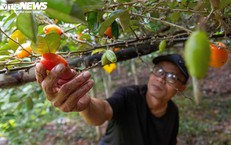 &#39;Thủ phủ&#39; nh&#243;t ở H&#224; Nội mất m&#249;a, gi&#225; tăng dựng đứng