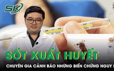 Chuy&#234;n gia cảnh b&#225;o những biến chứng nguy hiểm của bệnh sốt xuất huyết