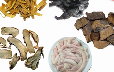 10 b&#224;i thuốc chữa bệnh từ tủy lợn