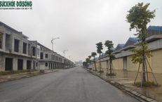 Dự &#225;n chợ đầu mối 2.000 tỷ khiến Ph&#243; B&#237; thư Vĩnh Ph&#250;c vướng lao l&#253;