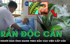 Bị rắn độc cắn, người đ&#224;n &#244;ng bắt &#39;thủ phạm&#39; v&#224;o t&#250;i nilon mang theo cấp cứu