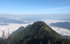 Mở tuyến du lịch mạo hiểm &#39;Chinh phục đỉnh P&#249; Lu&#244;ng&#39; săn m&#226;y ở độ cao 1.700m