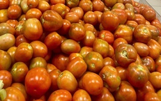 Gi&#225; c&#224; chua chạm mốc 60.000 đồng/kg, nhiều b&#224; nội trợ &#39;giật m&#236;nh&#39; khi đi chợ