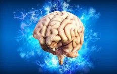 Vi khuẩn trong khối u n&#227;o c&#243; thể đ&#243;ng vai tr&#242; bất ngờ trong sự ph&#225;t triển ung thư