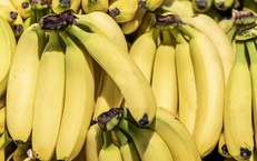 Điều g&#236; xảy ra khi ăn chuối l&#250;c bụng đ&#243;i?