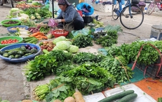 Gia đ&#236;nh thu nhập thấp xoay xở thế n&#224;o khi rau xanh l&#224; mặt h&#224;ng rẻ nhất cũng trở th&#224;nh xa xỉ sau b&#227;o?