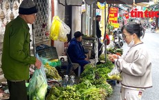 Gi&#225; rau xanh ở H&#224; Nội tăng &#39;ch&#243;ng mặt&#39;