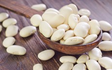 Đậu trắng c&#243; t&#225;c dụng g&#236;?