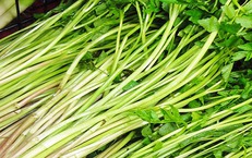 Người bị axit uric m&#225;u cao n&#234;n ăn g&#236;?