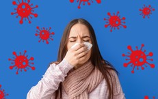 C&#225;ch ph&#226;n biệt nhanh c&#250;m A v&#224; c&#250;m thường