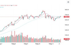 Xu hướng chứng kho&#225;n 26/11 &#39;n&#237;n thở&#39; chờ t&#237;n hiệu d&#242;ng tiền