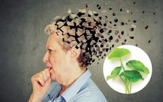 6 lợi &#237;ch sức khỏe của rau m&#225;