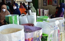 Gi&#225; gạo Th&#225;i Lan bật l&#234;n mức cao nhất bốn th&#225;ng do lo ngại nguồn cung