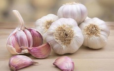 Bị c&#250;m ăn g&#236;, ki&#234;ng g&#236; cho nhanh khỏi?