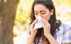 Thuốc chống dị ứng - Những nguy cơ tiềm ẩn v&#224; c&#225;ch sử dụng an to&#224;n