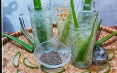 Kh&#225;m ph&#225; b&#237; quyết phục hồi t&#243;c hư tổn từ l&#244; hội v&#224; hạt chia