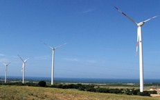 Agribank với tr&#225;ch nhiệm ESG to&#224;n diện, từ &#39;vốn xanh&#39; đến an sinh cộng đồng