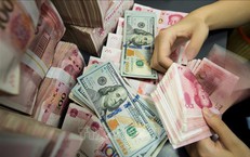 Tỷ gi&#225; h&#244;m nay 6/11: Đồng USD v&#224; NDT c&#249;ng tăng