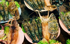 Khi n&#224;o n&#234;n bổ sung t&#244;m v&#224; cua biển cho trẻ