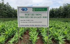 Ho&#224;n thiện cơ chế kiểm so&#225;t khai th&#225;c v&#224; bu&#244;n b&#225;n dược liệu tự nhi&#234;n