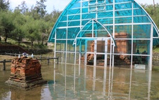 H&#236;nh ảnh mới nhất về Th&#225;p Chăm ngh&#236;n năm tuổi ở Huế sau nhiều ng&#224;y bị ng&#226;m trong nước