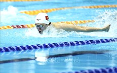 SEA Games 33 ng&#224;y 10/12: Bơi, đua thuyền, v&#245; xuất trận