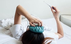 Khi mắc sốt xuất huyết, sốt không hạ có được tăng liều thuốc hạ sốt?