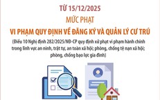 Mức phạt vi phạm trật tự công cộng, sự yên tĩnh chung, đăng ký, quản lý cư trú