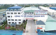 Công ty Cổ phần Thuận Đức vi phạm lĩnh vực chứng khoán