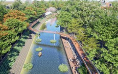 Đồng loạt khởi công loạt dự án quy mô lớn, Sun Group khẳng định vai trò doanh nghiệp tư nhân trong kiến thiết hạ tầng quốc gia