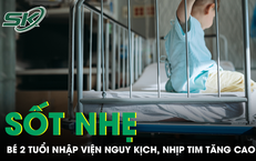 Cha mẹ chủ quan trước cơn sốt nhẹ, bé 2 tuổi nhập viện nguy kịch