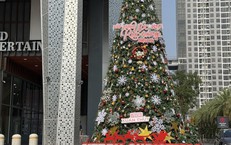 Hà Nội khoác 'áo mới', không khí Giáng sinh 2025 rộn ràng trên từng góc phố