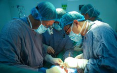 3 người chết n&#227;o hiến tạng gi&#250;p 16 cuộc đời được hồi sinh, trong đ&#243; c&#243; bệnh nhi 8 th&#225;ng tuổi