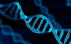 Phát hiện gene giúp tế bào ung thư thoát khỏi sự tấn công của hệ miễn dịch