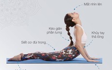 7 tư thế yoga đơn giản giúp giảm mỡ bụng